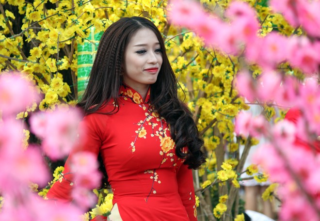 Sài Gòn tràn ngập sắc xuân cùng mai, đào - ảnh 3