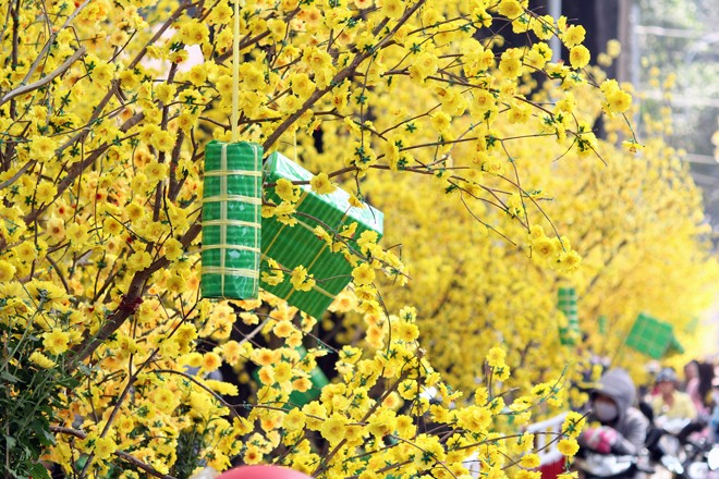 Sài Gòn tràn ngập sắc xuân cùng mai, đào - ảnh 5
