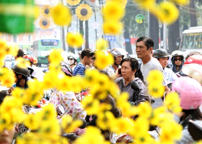 Sài Gòn tràn ngập sắc xuân cùng mai, đào - ảnh 9