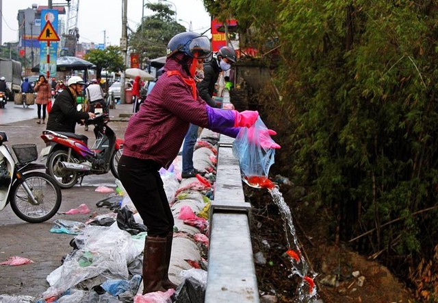 Sông, hồ thành “bãi rác” vì phóng sinh cá chép cho Táo quân - ảnh 14