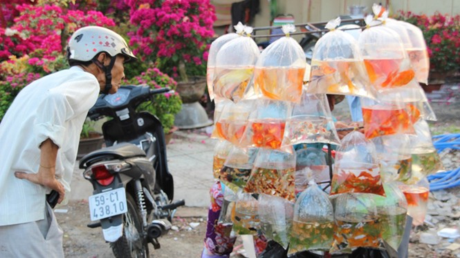 TP.HCM: Tiễn ông Táo về trời, dân nô nức thả cá phóng sinh - ảnh 2