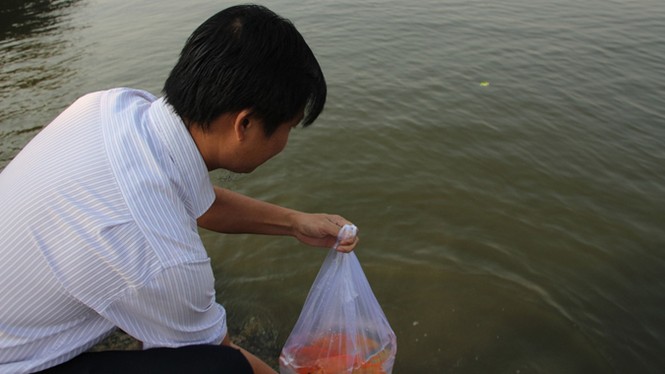 TP.HCM: Tiễn ông Táo về trời, dân nô nức thả cá phóng sinh - ảnh 5