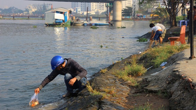 TP.HCM: Tiễn ông Táo về trời, dân nô nức thả cá phóng sinh - ảnh 6