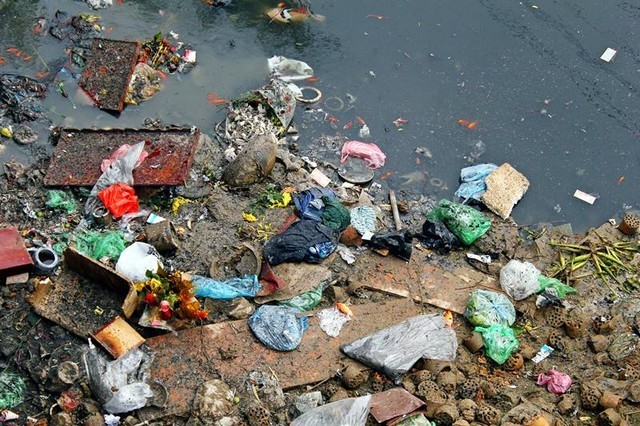 Sông, hồ thành “bãi rác” vì phóng sinh cá chép cho Táo quân - ảnh 8