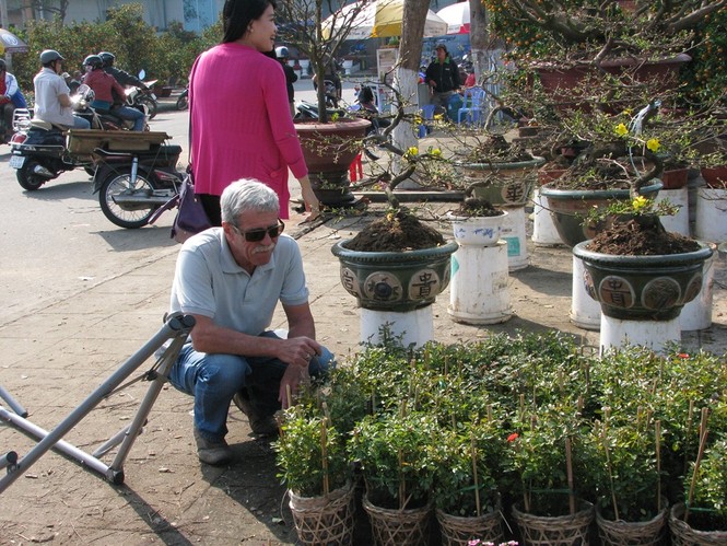 Đà Nẵng: Mai, quất vắng người mua, hoa rẻ tiền hút khách - ảnh 5