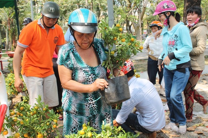 Chợ hoa xả hàng, người Sài Gòn tấp nập mua - ảnh 9