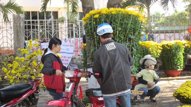 Buôn Ma Thuột: Hoa giảm giá thê thảm vẫn vắng khách mua - ảnh 4
