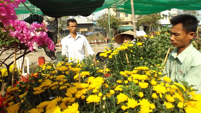 Dưa hấu giảm gần 70%, người bán “héo ruột” - ảnh 5