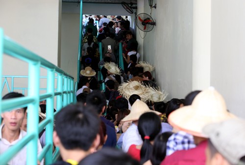 5 vạn du khách chen chân khai hội chùa Hương - ảnh 11