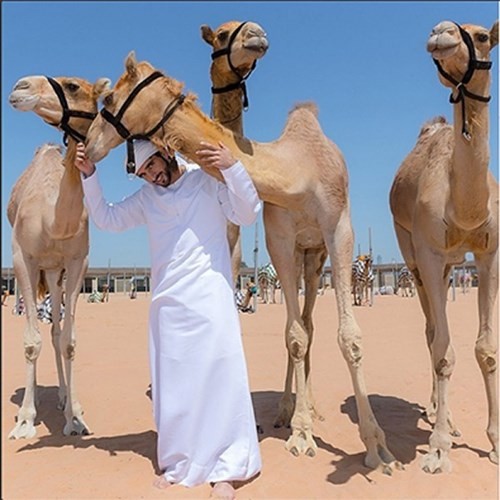 Sở thích nuôi quái thú độc, dị của Thái tử Dubai điển trai - ảnh 3