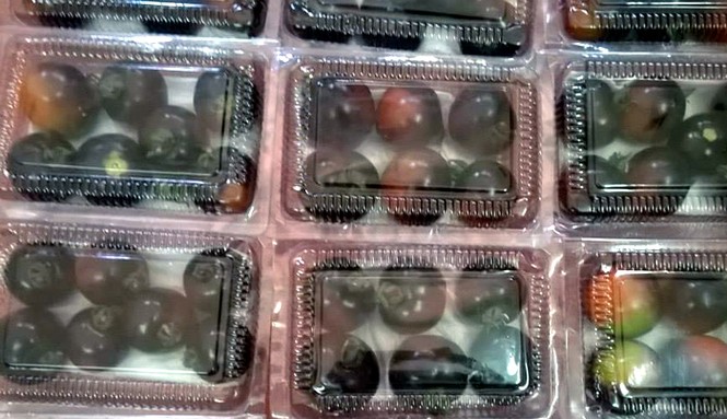 Cà chua đen 140 ngàn/kg, chờ cả năm mới được mua - ảnh 1