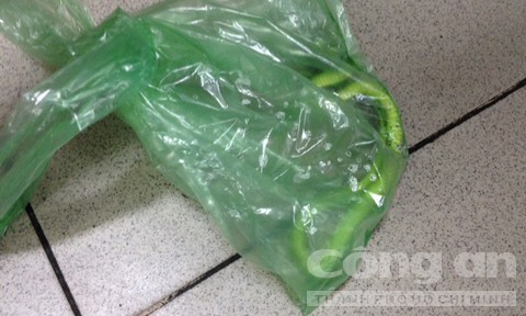 Một phụ nữ bị rắn lục núp dưới tủ cắn trọng thương - ảnh 1