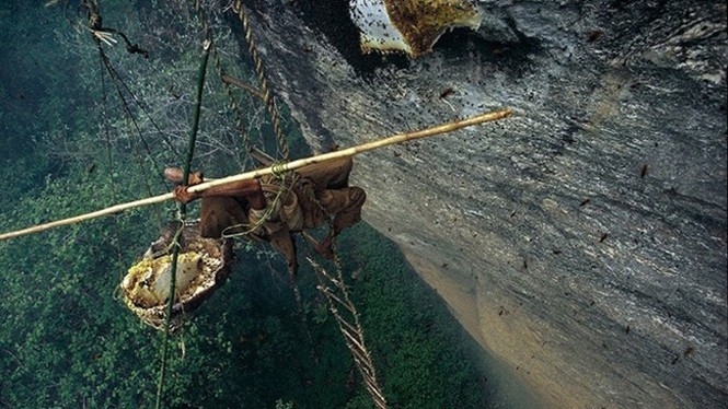 Mục kích thợ săn đu dây trên vách núi để lấy mật ong - ảnh 1