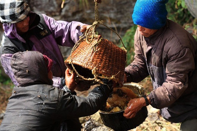 Mục kích thợ săn đu dây trên vách núi để lấy mật ong - ảnh 9