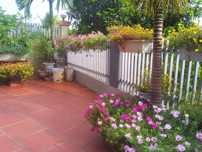 Ngôi nhà đẹp rực rỡ với hoa mười giờ - ảnh 3