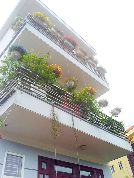 Ngôi nhà đẹp rực rỡ với hoa mười giờ - ảnh 6