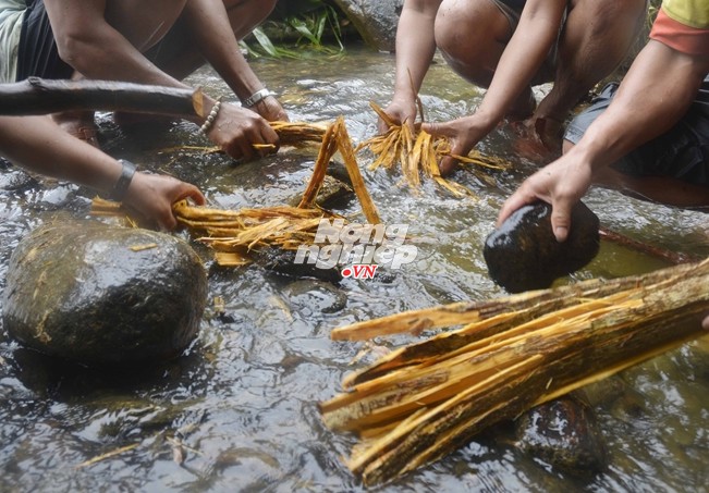 Huyền bí vỏ cây dùng để 'thuốc' cá - ảnh 5