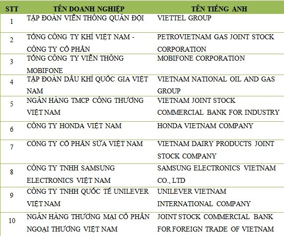 “Hé mở” danh sách 10 doanh nghiệp lãi lớn, nộp thuế cao - ảnh 1