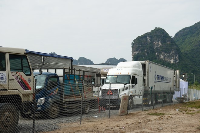 Ninh Bình siết chặt an ninh cho phim trường 'King Kong' - ảnh 2