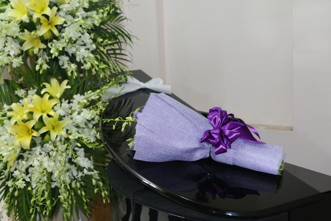 Đàm Vĩnh Hưng xin lỗi trước linh cữu nhạc sĩ Nguyễn Ánh 9 - ảnh 2