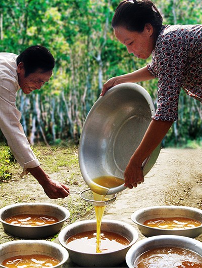 Săn mật ong rừng - ảnh 2
