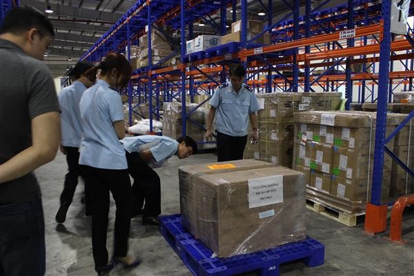 Bắt giữ gần 100kg ngà voi tại sân bay quốc tế Nội Bài - ảnh 1