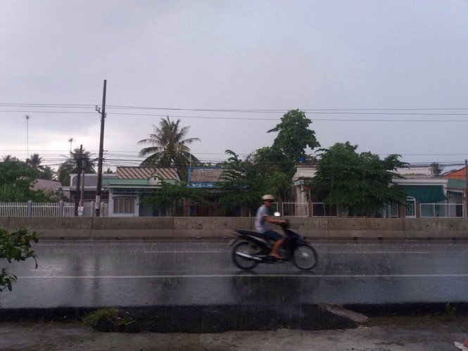 Hậu Giang đón 'mưa vàng' giải hạn - ảnh 3