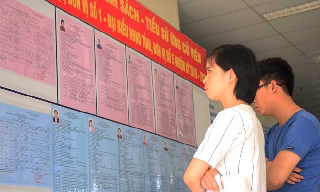 Hơn 15.000 sinh viên lần đầu đi bầu cử - ảnh 10