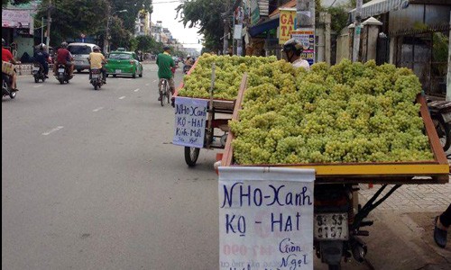 Những loại trái cây Trung Quốc đội lốt hàng Việt - ảnh 1