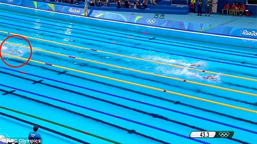 Kình ngư mập như cá voi gây tranh cãi tại Olympic Rio 2016 - ảnh 2