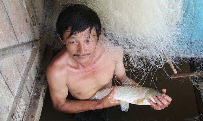 Cá nuôi lồng chết hàng loạt trên sông Nậm Nơn - ảnh 1