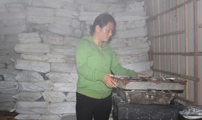 Bối rối tiêu hủy 60 tấn hải sản liên quan đến Formosa - ảnh 1