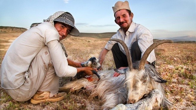 Bộ lạc du mục cuối cùng ở Iran - ảnh 3