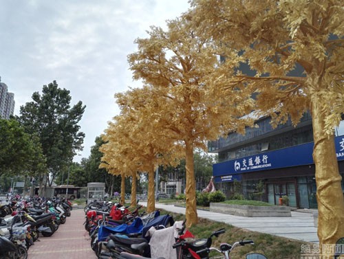 Hàng cây dát vàng trên phố ở Trung Quốc - ảnh 1