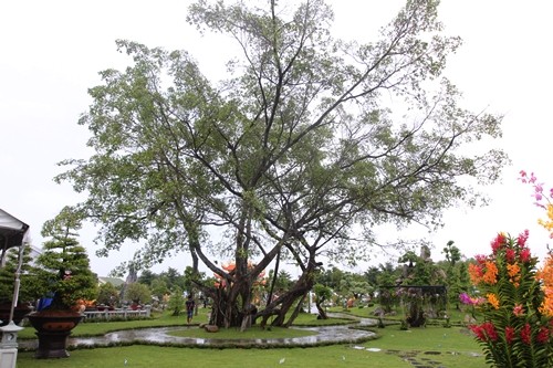Bên trong nhà thờ tổ nghề sân khấu của Hoài Linh - ảnh 2