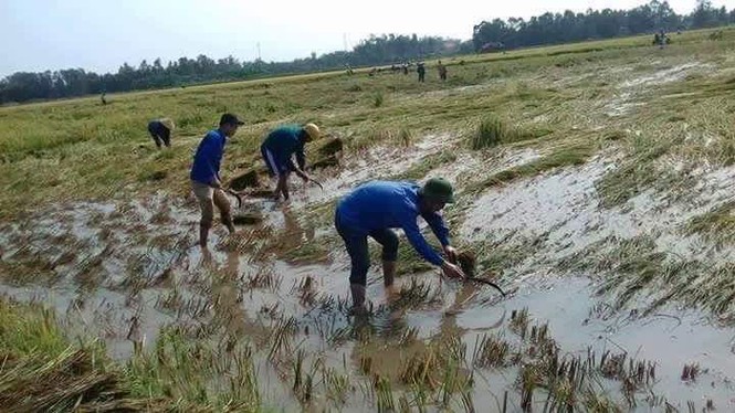 Thanh niên Nghệ An tặng quà thầy cô, học sinh vùng lũ quét - ảnh 2