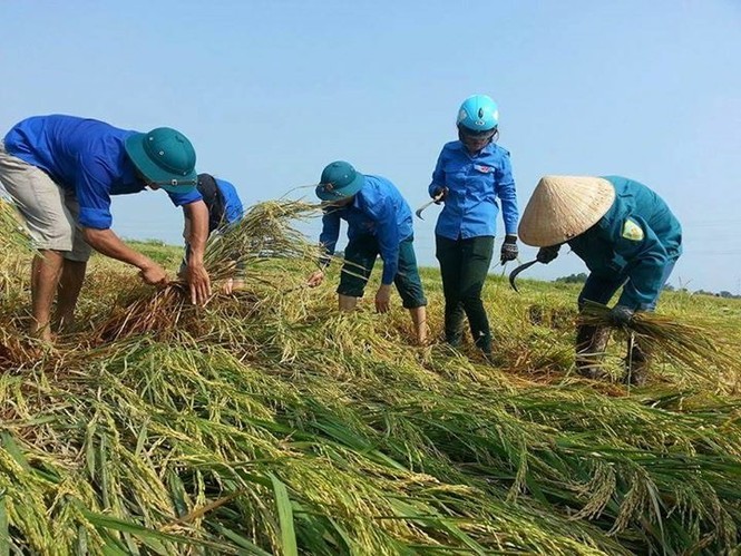 Thanh niên Nghệ An tặng quà thầy cô, học sinh vùng lũ quét - ảnh 3