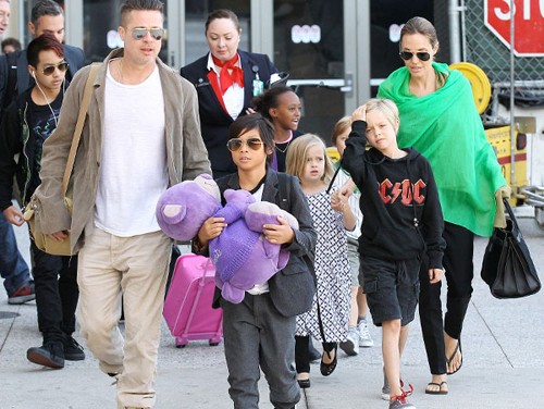 Brad Pitt muốn giành quyền nuôi con với Angelina Jolie - ảnh 1