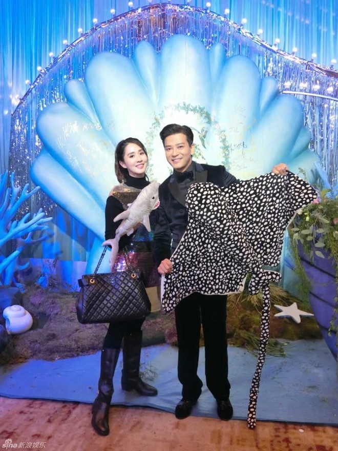 đoàn dự thiên long bát bộ - ảnh 9