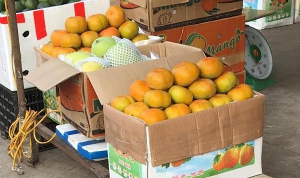 Hoa quả Tàu 6 - 10 ngàn/kg, dấu vết cảnh báo dính độc - ảnh 4