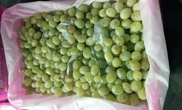 Hoa quả Tàu 6 - 10 ngàn/kg, dấu vết cảnh báo dính độc - ảnh 2
