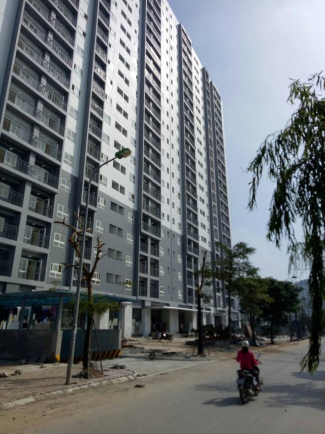 Hơn 600 căn nhà ở xã hội được bàn giao sớm trước nửa năm - ảnh 1