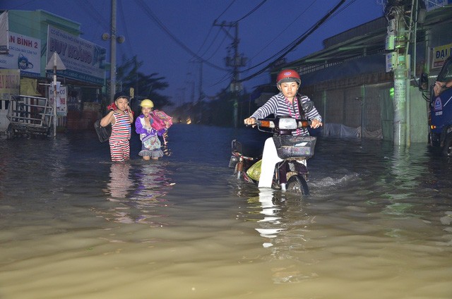 triều cường ở sài gòn - ảnh 1