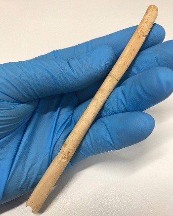 Khuyên mũi 44.000 năm của thổ dân Australia cổ đại - ảnh 1
