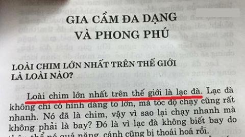 Sách Nhà xuất bản trẻ khuyên đập đồ khi buồn: Dạy dùng vũ lực? - ảnh 1