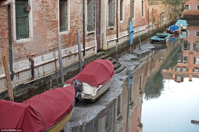 Thành phố nổi Venice có thể biến mất vì cạn nước - ảnh 3