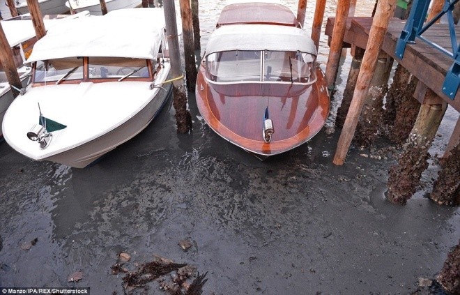 Thành phố nổi Venice có thể biến mất vì cạn nước - ảnh 4