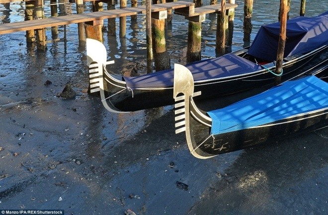 Thành phố nổi Venice có thể biến mất vì cạn nước - ảnh 5