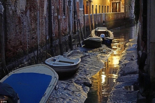 Thành phố nổi Venice có thể biến mất vì cạn nước - ảnh 7