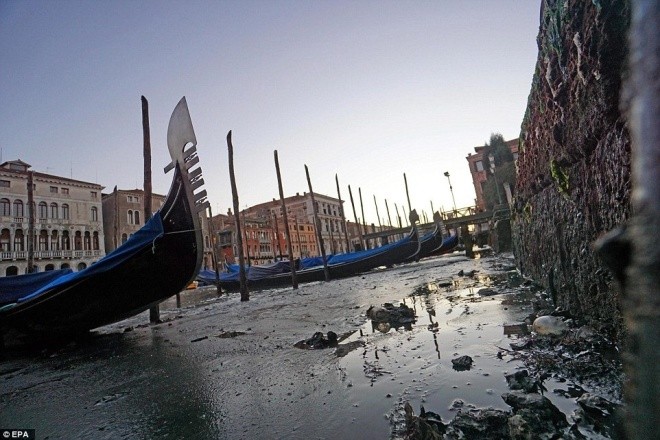 Thành phố nổi Venice có thể biến mất vì cạn nước - ảnh 8